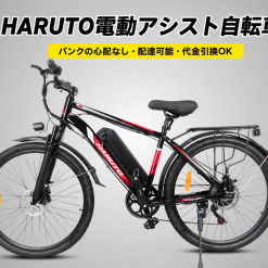 Xe đạp trợ lực leo núi Haruto